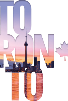 The Man from Toronto izle 2021