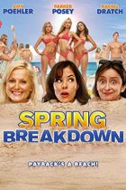 Spring Breakdown – Unutulmaz Tatil izle