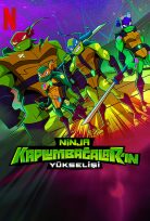Ninja Kaplumbağalar’ın Yükselişi Netflix Filmi izle
