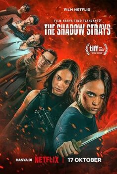 Asi 13 (2024) izle