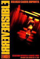 Irréversible Dönüş yok izle