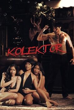 Kolektor 2025