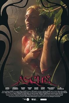 Asche