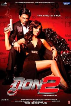 Don 2 Hint Filmi