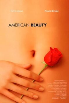 Amerikan Güzeli American Beauty