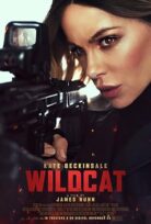 Wildcat  Vahşi kedi