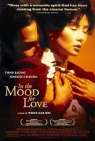 Aşk Zamanı – In the Mood for Love