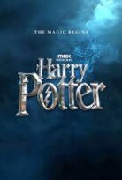 Harry Potter  Dizisi 2027 1. Sezon: Felsefe Taşı