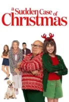 Yaz Ortasında Noel A Sudden Case Of Christmas 2024