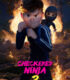 Damalı Ninja 3 2026