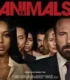 Hayvanlar (Animals) 2026